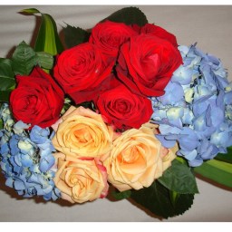 Festa della Prima Repubblica di Armenia